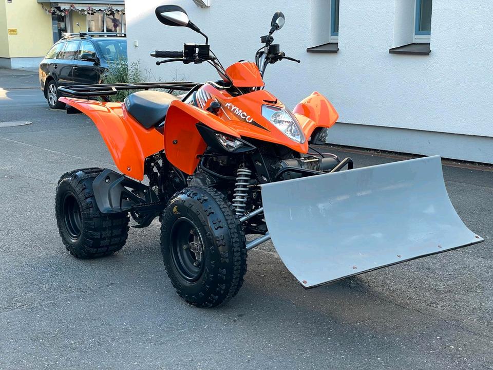 Kymco QUAD/ATV KYMCO MAXXER 300*SCHNESCHILD*SEILWINDE*AHK 2008 — фото 9