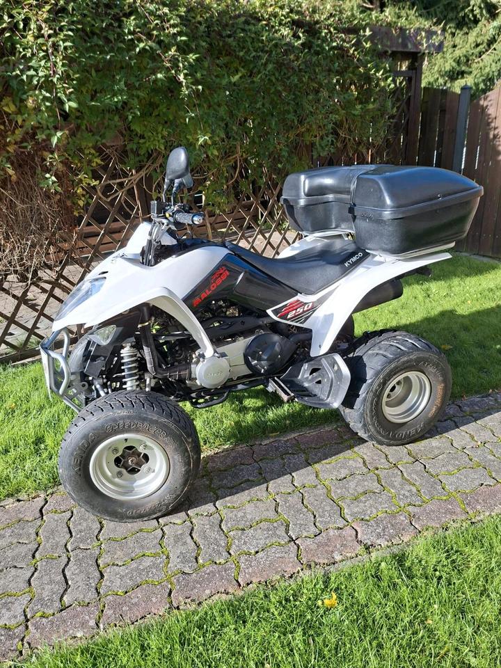 Kymco Maxxer 250 Quad – 1. Hand – TÜV bis 05/2027, 2012
