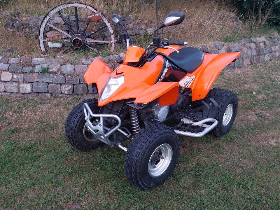 Kymco Maxxer 300 Quad 2006 — rear view
