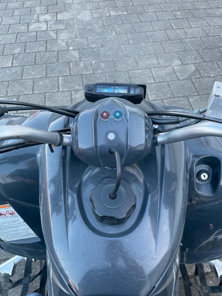 Yamaha 350 Raptor 2005 — rear view