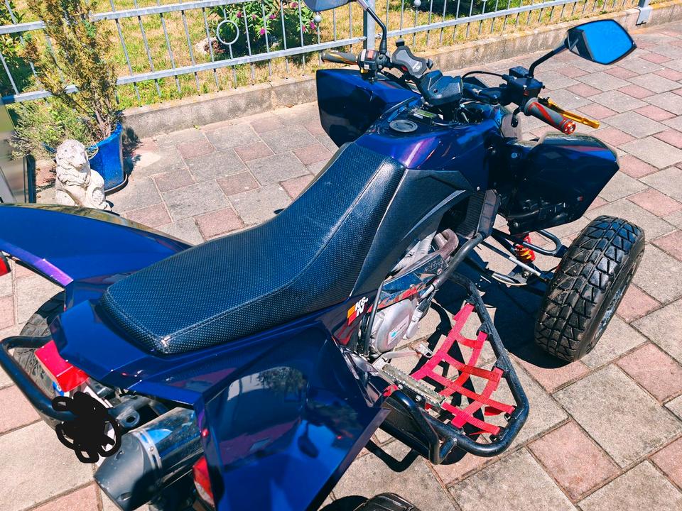 Weitere Motorräder Explorer Trasher 520 Lof Zulassung Quad Subaru Motor 2011 — photo 6