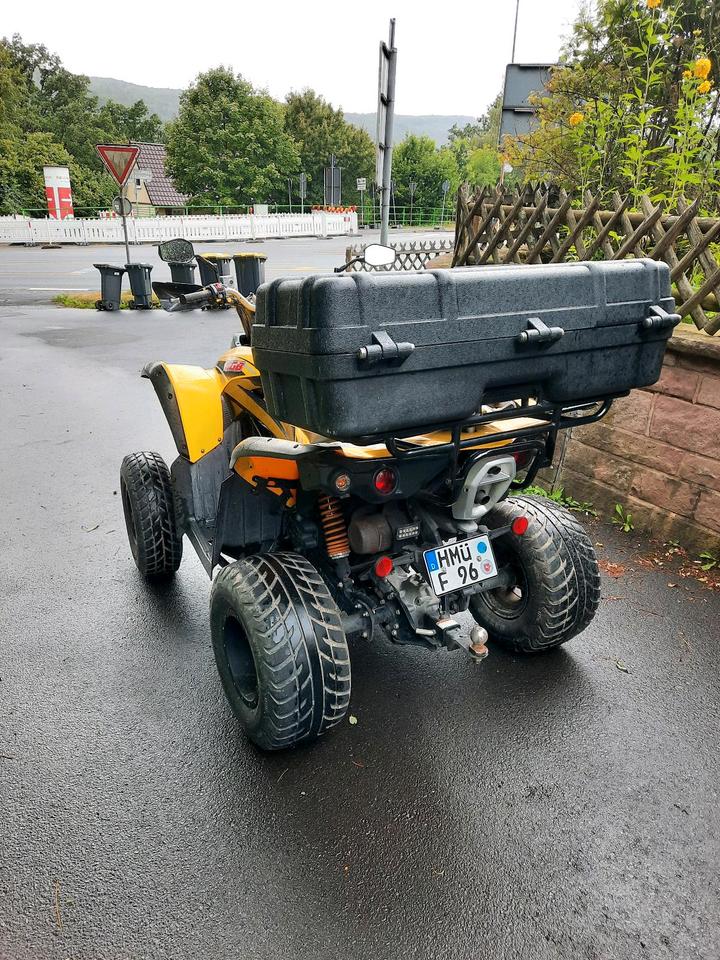  Quad, TGB Target 525, TÜV NEU 2010 — двигун 525 ccm