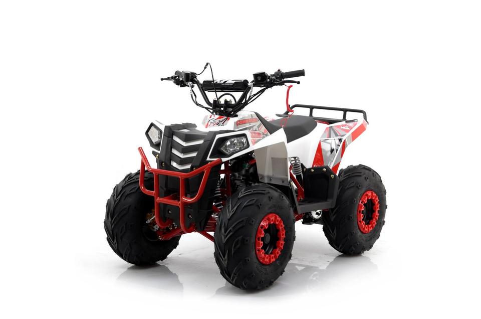  Quad XTL Commander 110cc – Für junge Offroad-Fans mit Abenteuerl 2008 — вигляд ззаду