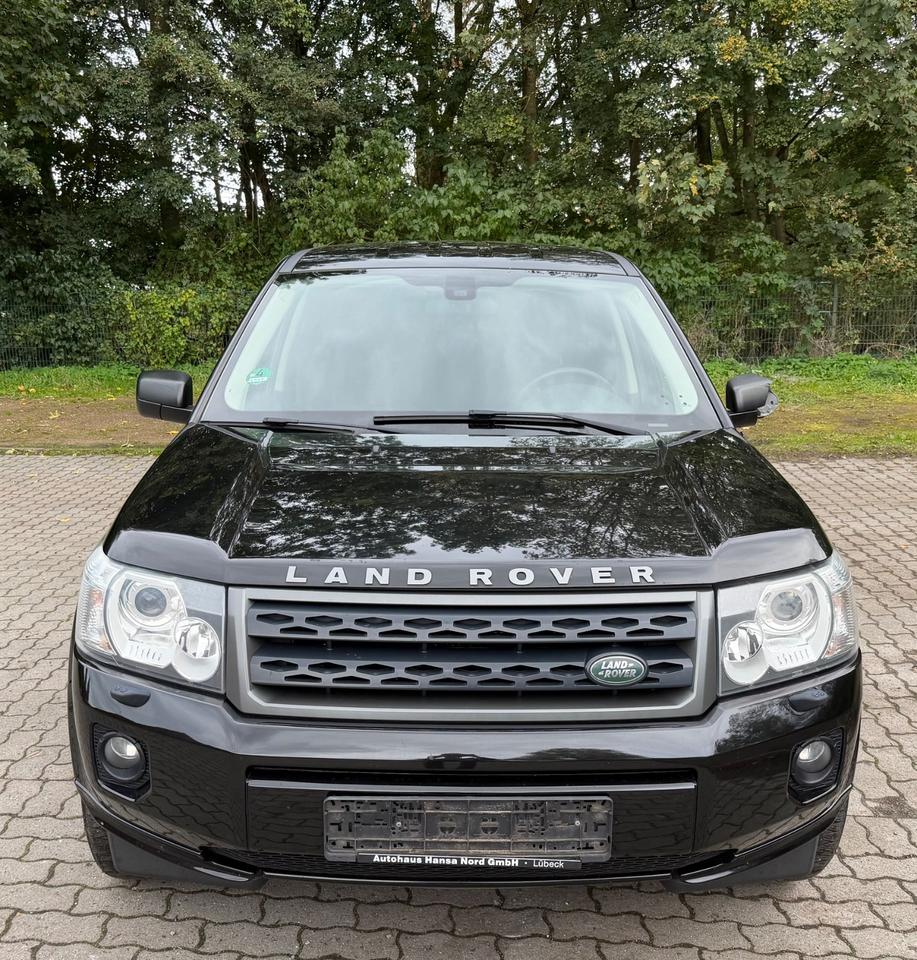 Land Rover Freelander 2011 — rear view