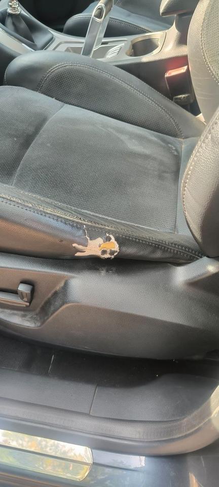 Ford S-Max 2007 — photo 6