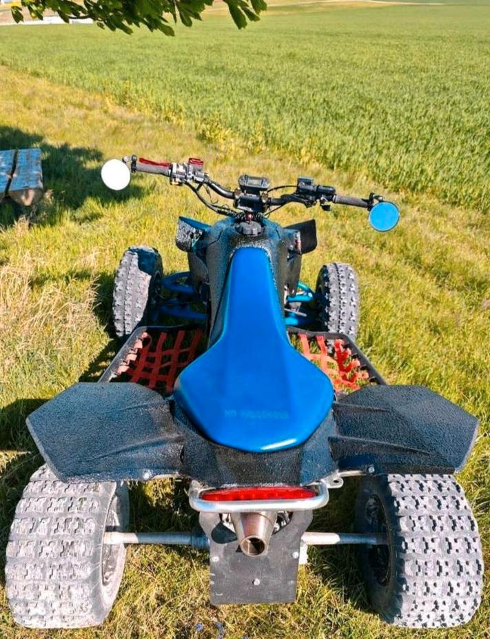 Suzuki LTR Quadracer 450 ccm 2007 — interior