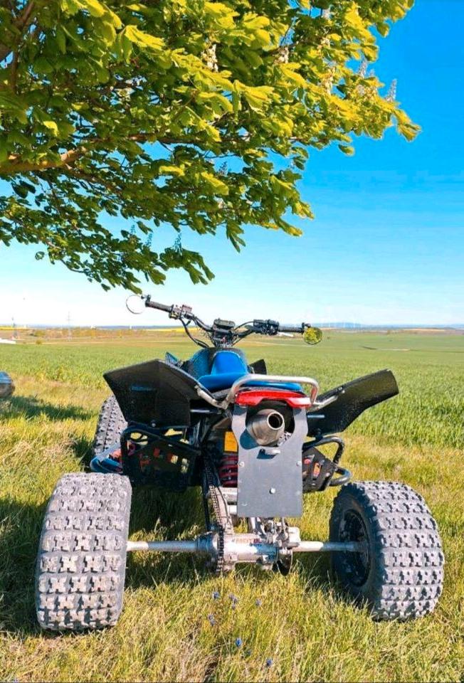 Suzuki LTR Quadracer 450 ccm 2007 — engine 450 ccm