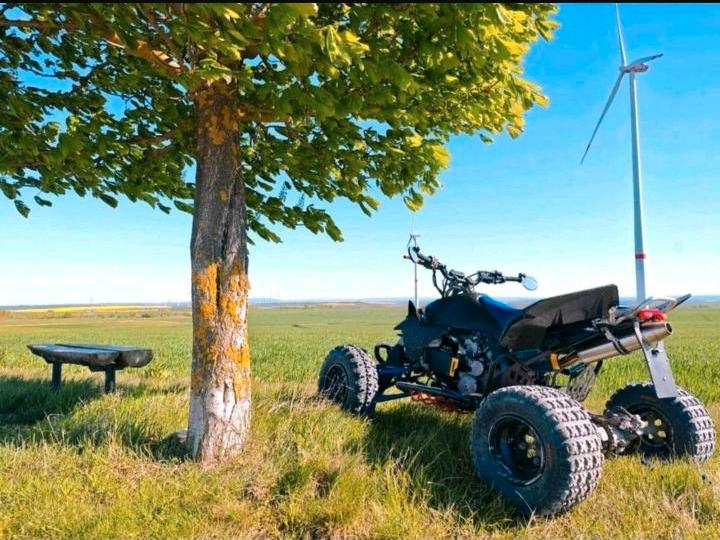 Suzuki LTR Quadracer 450 ccm 2007 — photo 5