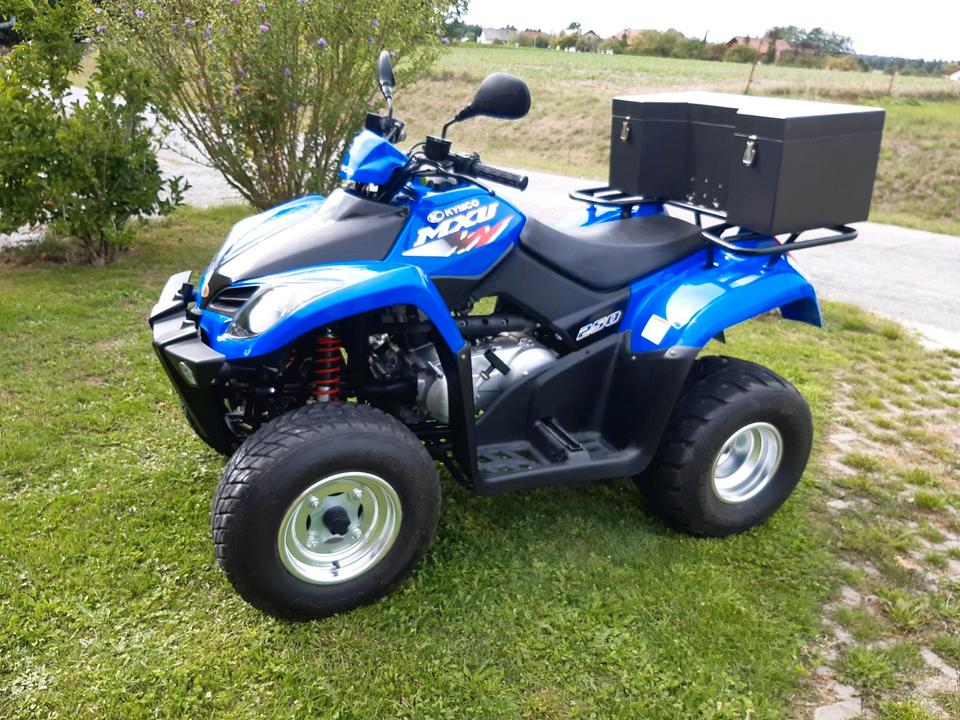Kymco Quad 250 Bj. 2015 — rear view