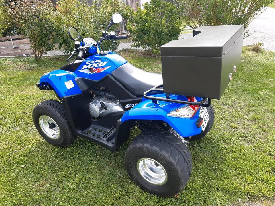 Kymco Quad 250 Bj. 2015 — engine 250 ccm