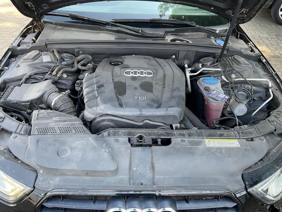Audi A4 2014 — photo 16