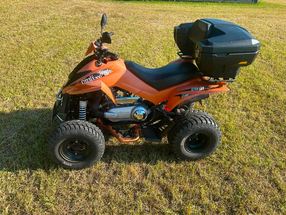 Weitere Motorräder Quad Automatik 2012 — engine 291 ccm