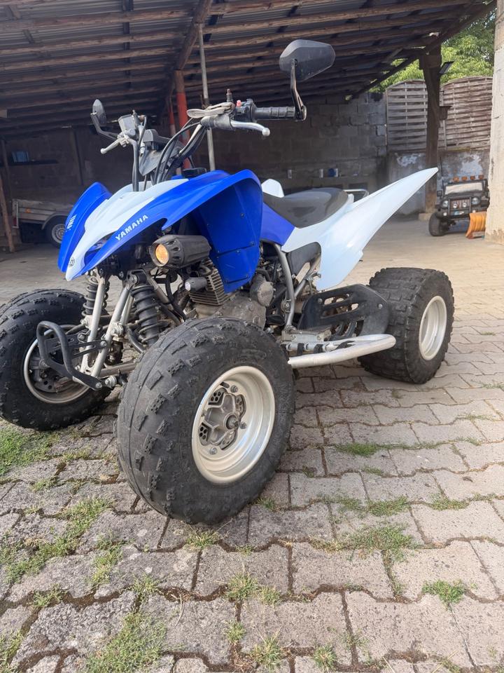 Yamaha YFM 250R 2013 — rear view