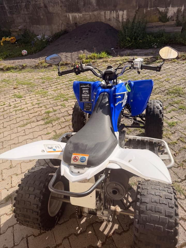 Yamaha YFM 250R 2013 — engine 250 ccm