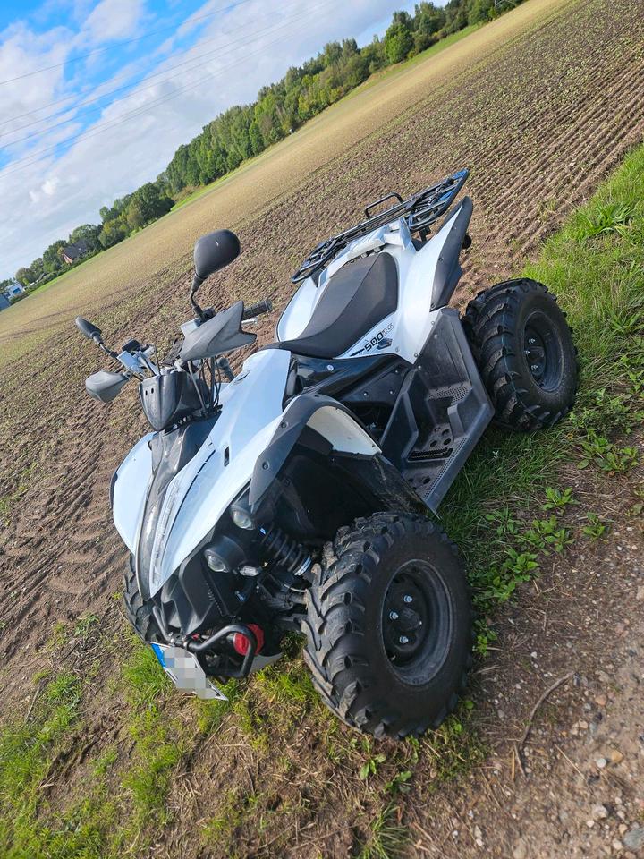  ATV Quad TGB Target 500 IRS 4x4 LOF/TÜV/Service 2014 — rear view