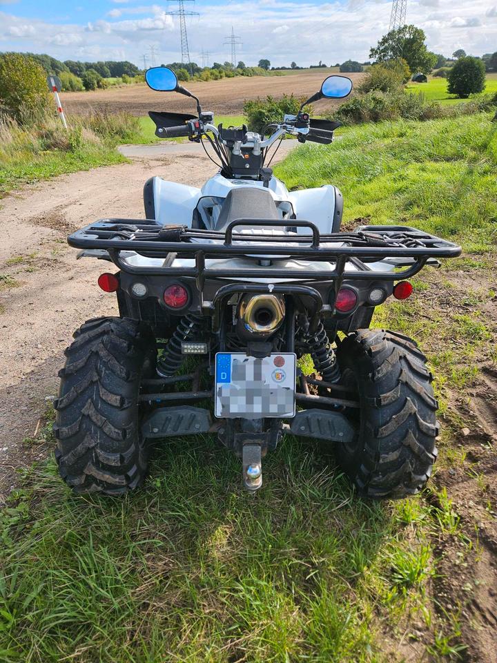  ATV Quad TGB Target 500 IRS 4x4 LOF/TÜV/Service 2014 — engine 500 ccm