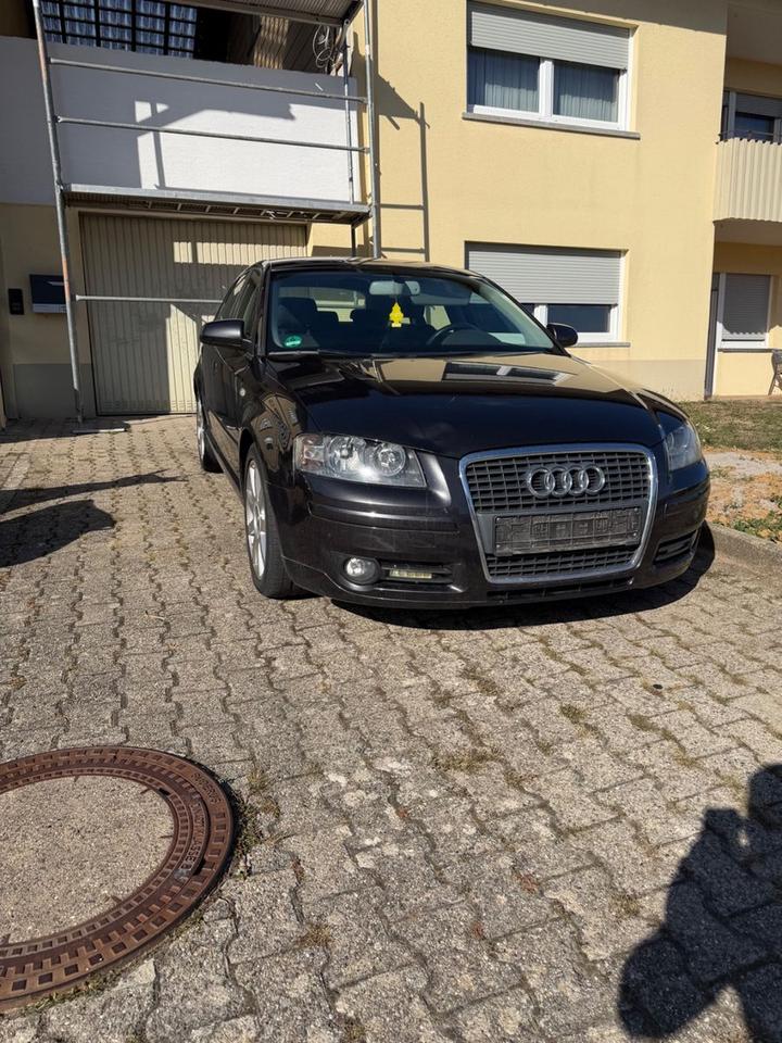 Audi A3 2007 — вигляд ззаду