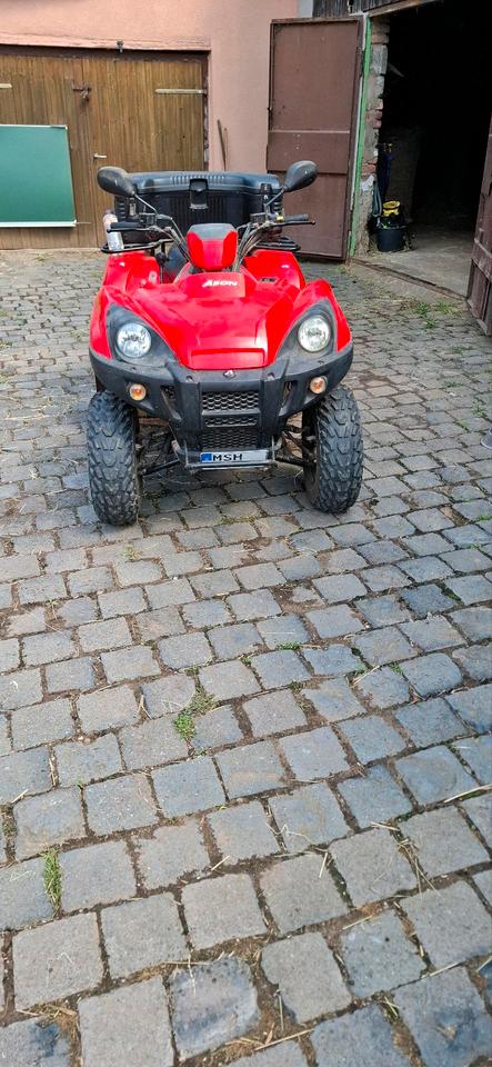Weitere Motorräder ATV quad 300 ccm 2008 — вигляд ззаду