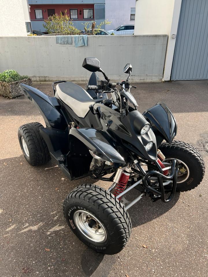 Weitere Motorräder Aeon Bistrada 350 Quad 350ccm TÜV NEU 2013 — салон