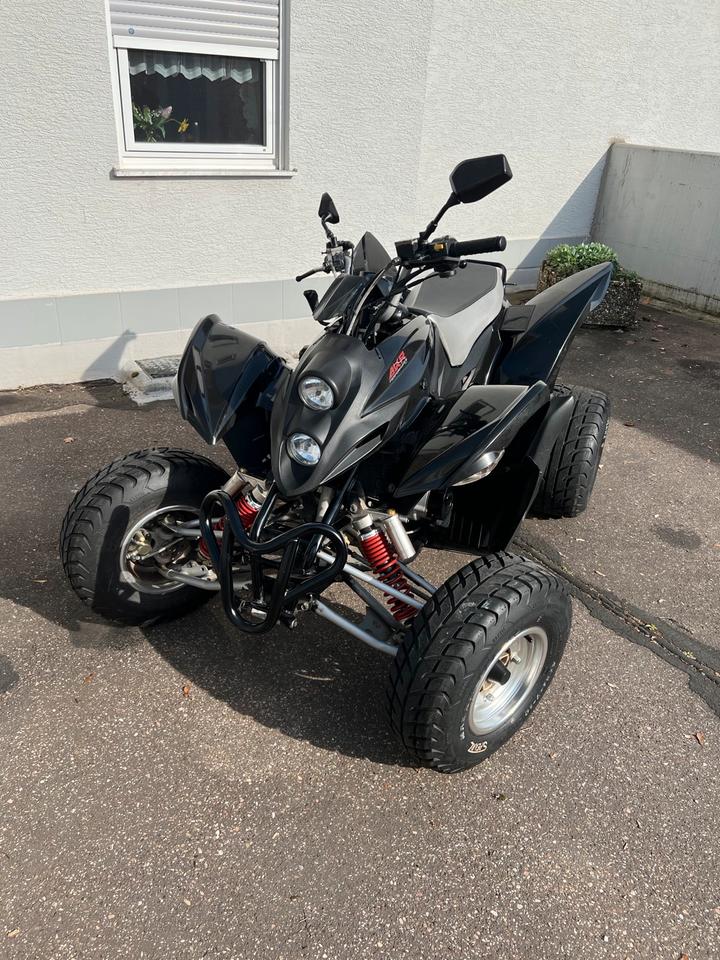 Weitere Motorräder Aeon Bistrada 350 Quad 350ccm TÜV NEU 2013 — фото 6