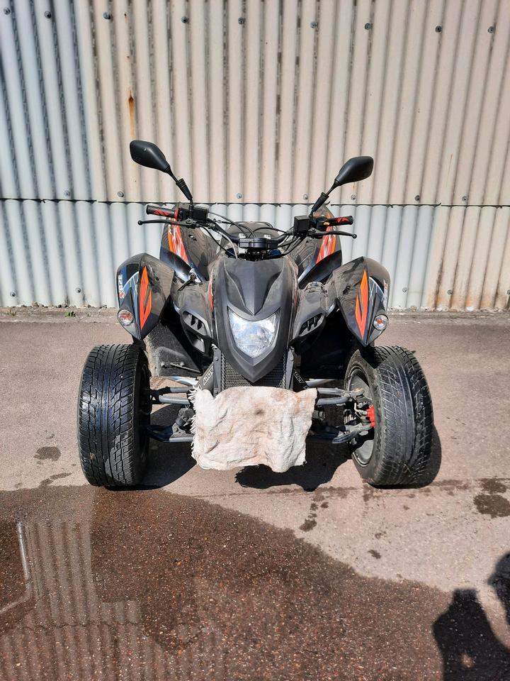Weitere Motorräder Quad Adly Hurricane 320s Flat mit Nerfbars 2010 — rear view