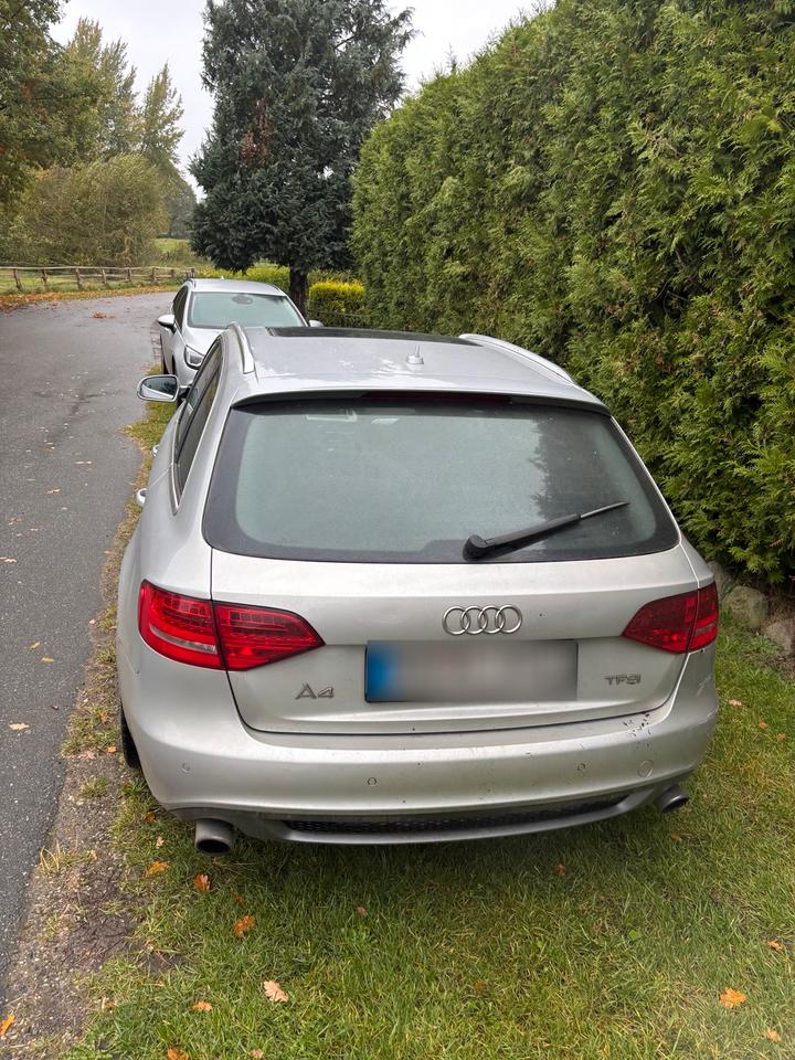 Audi A4 2011 — photo 6