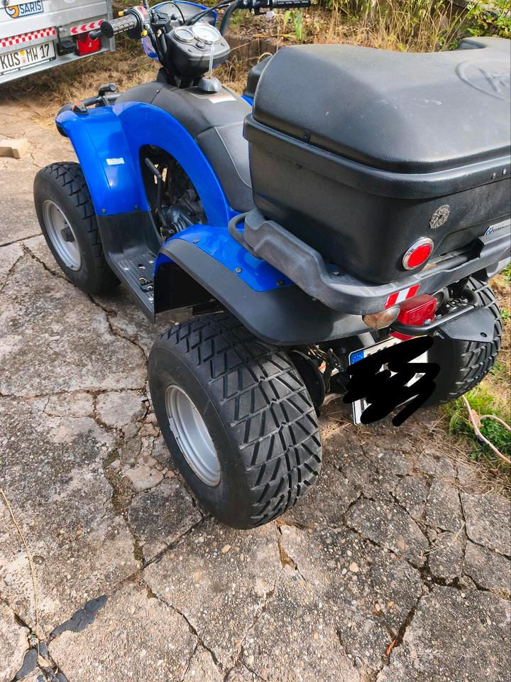  Quad E-TON Yukon EXL-150, wenig Kilometer 2011 — rear view
