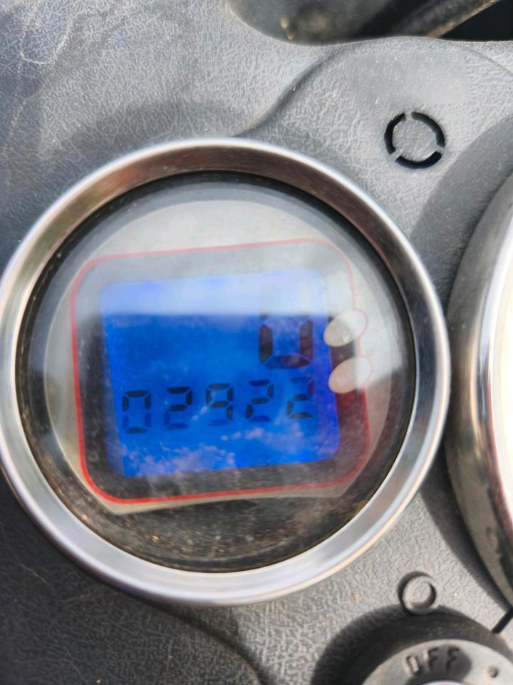  Quad E-TON Yukon EXL-150, wenig Kilometer 2011 — photo 5