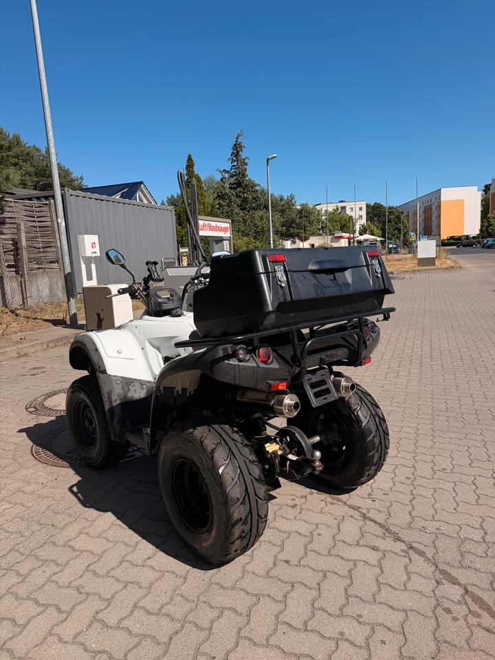 Weitere Motorräder Quad TGB Blade 250 2009 — фото 10