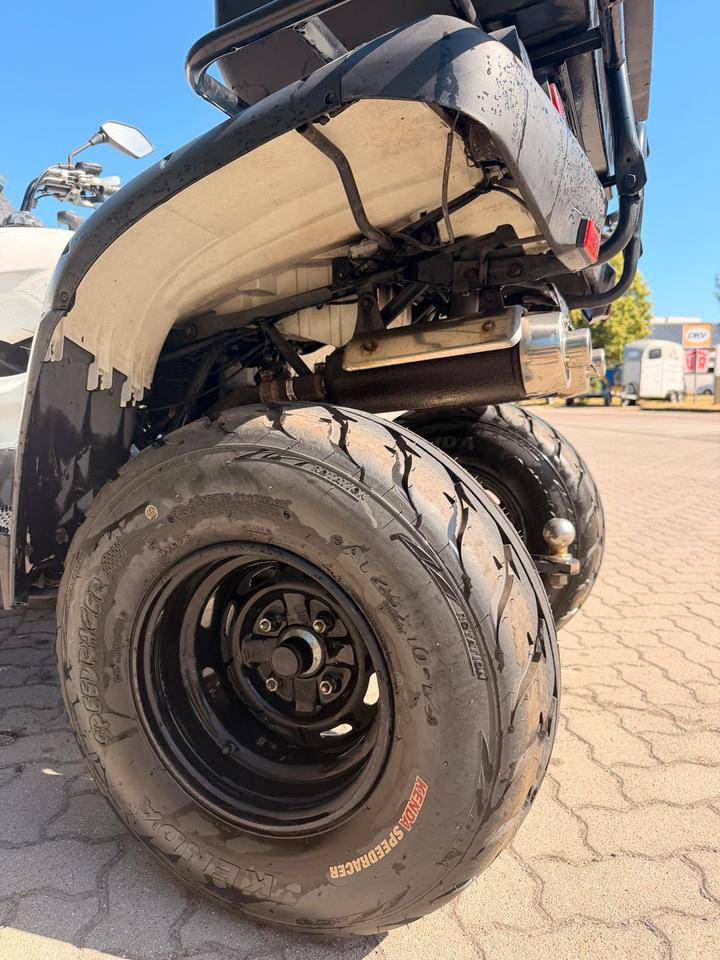Weitere Motorräder Quad TGB Blade 250 2009 — фото 13