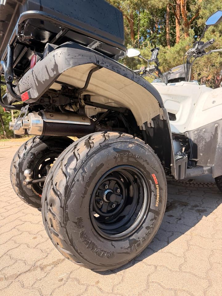 Weitere Motorräder Quad TGB Blade 250 2009 — фото 14