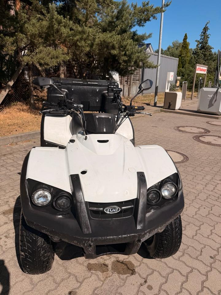 Weitere Motorräder Quad TGB Blade 250 2009 — вигляд ззаду