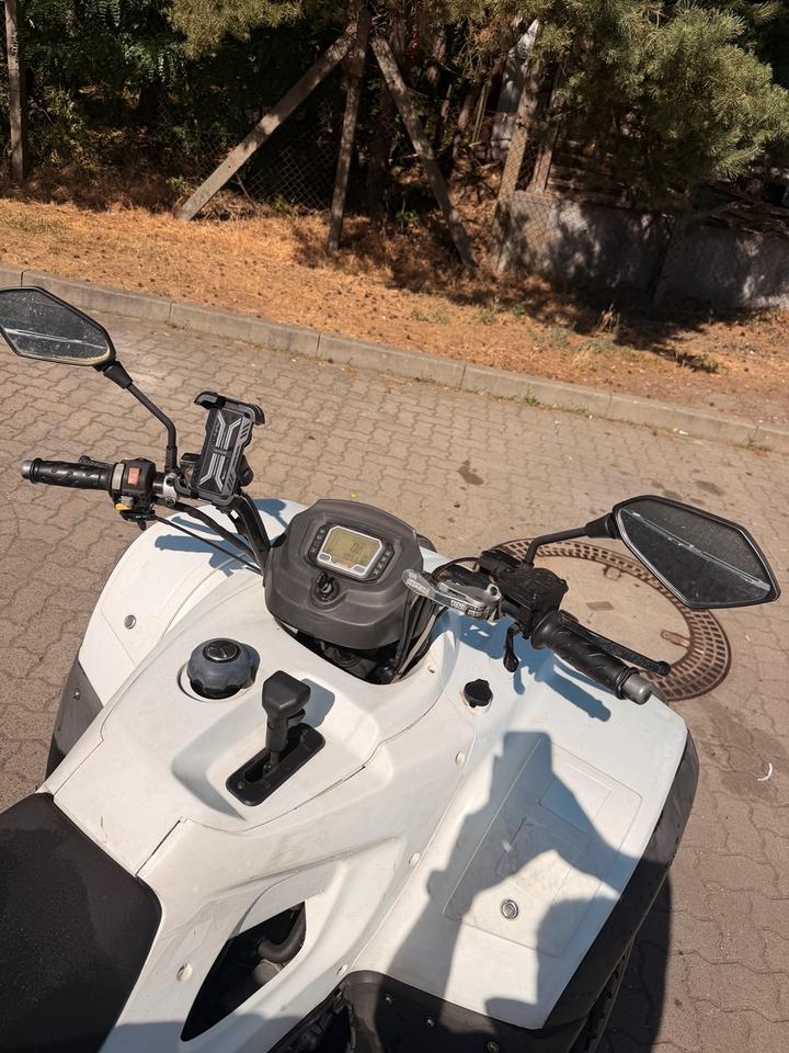 Weitere Motorräder Quad TGB Blade 250 2009 — салон