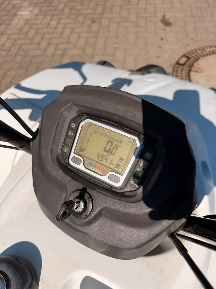Weitere Motorräder Quad TGB Blade 250 2009 — двигун 250 ccm