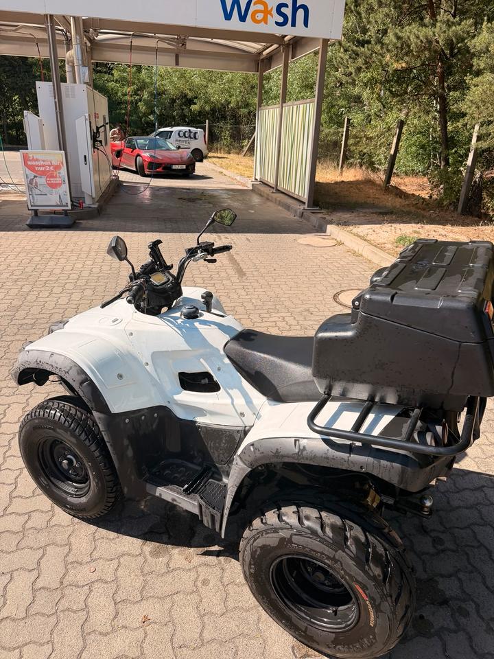 Weitere Motorräder Quad TGB Blade 250 2009 — фото 5