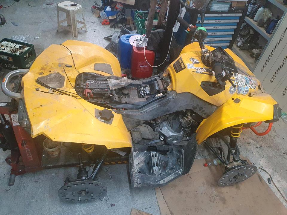  Can Am Renegade 500 XT mit Servolenkung 2014 — вигляд ззаду
