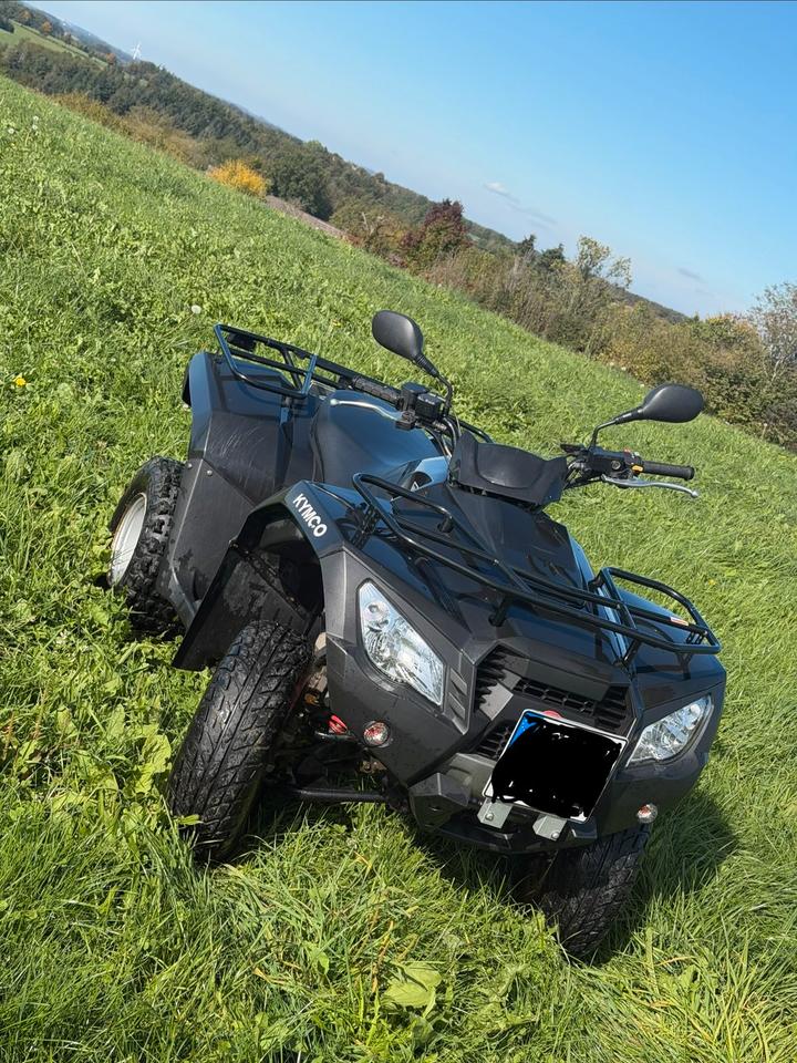 Kymco MXU300R mit Schneeschild 2013 — vehicle for AFU Ukraine