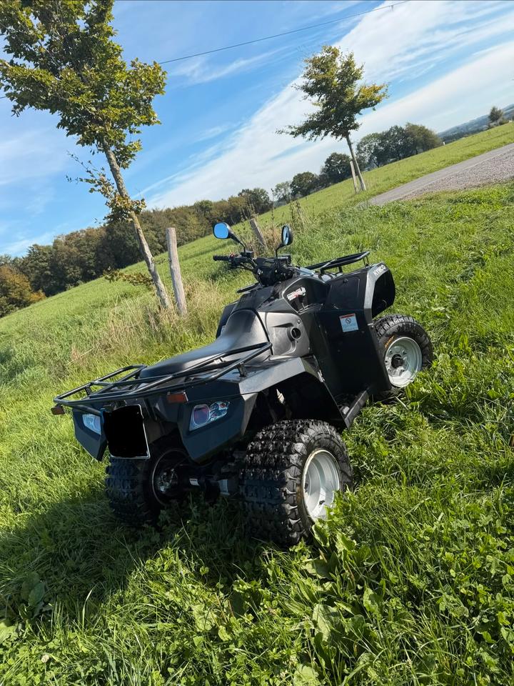 Kymco MXU300R mit Schneeschild 2013 — rear view