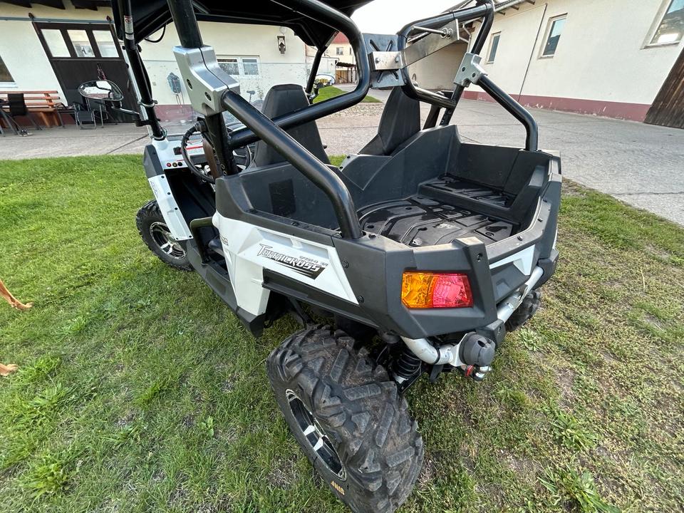 Weitere Motorräder Gelöscht • Buggy CF Moto 2013 — rear view