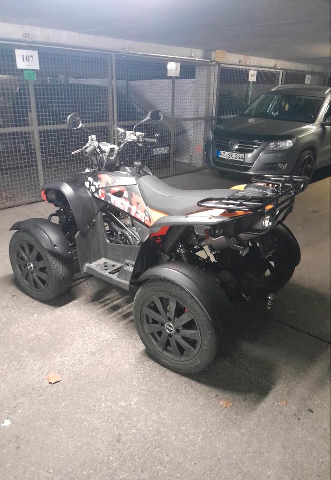 Weitere Motorräder Gelöscht • Quad tgb Gunner 2011 — rear view