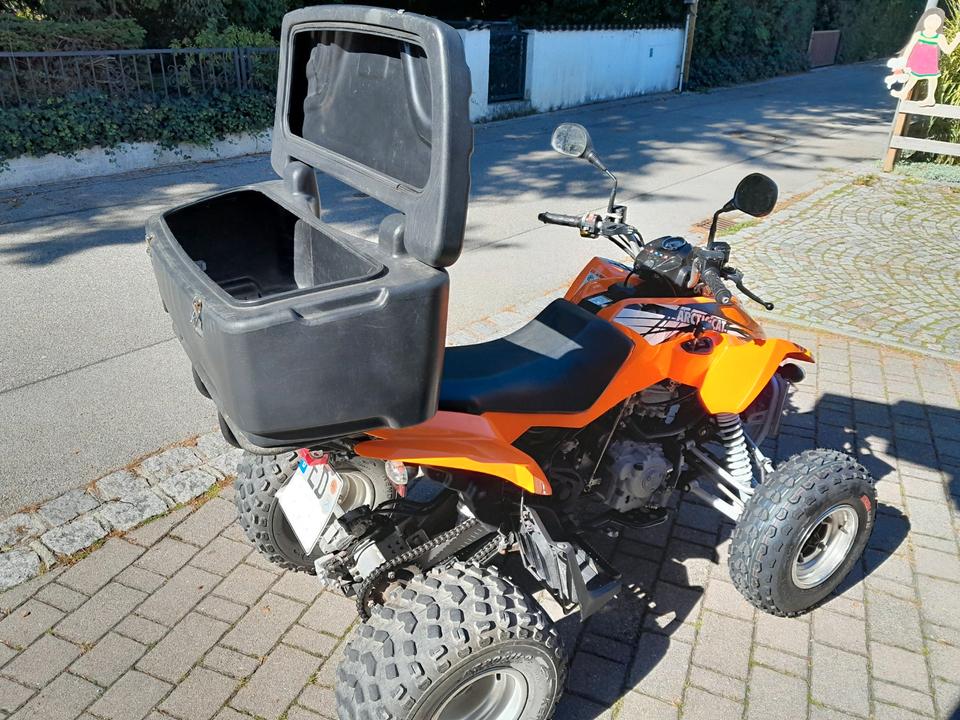  Gelöscht • Quad Arctic Cat DVX-300 2013 — вигляд ззаду