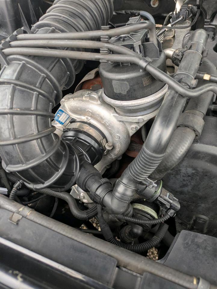 Volkswagen Amarok 2014 — photo 10
