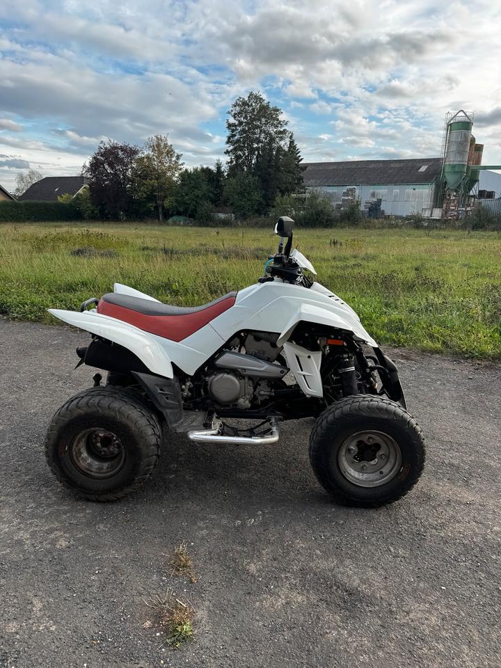 Weitere Motorräder Dinli 450 Quad 2010 — вигляд ззаду