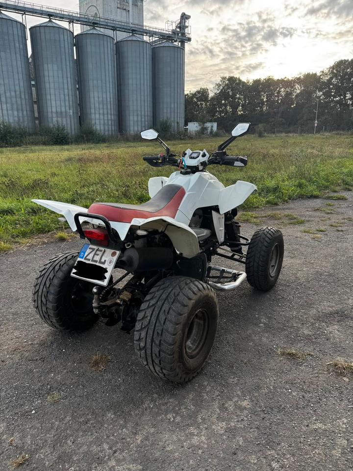 Weitere Motorräder Dinli 450 Quad 2010 — двигун 450 ccm
