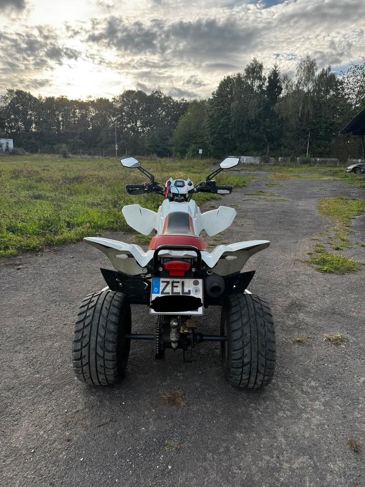 Weitere Motorräder Dinli 450 Quad 2010 — фото 5