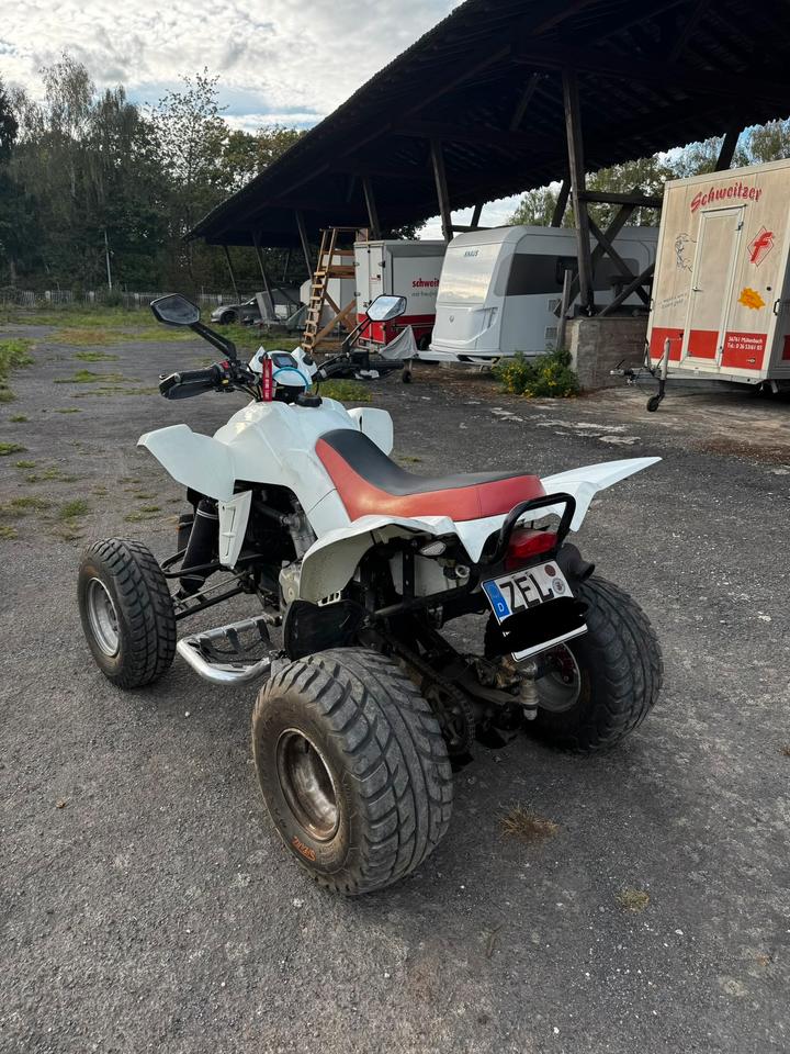 Weitere Motorräder Dinli 450 Quad 2010 — фото 6