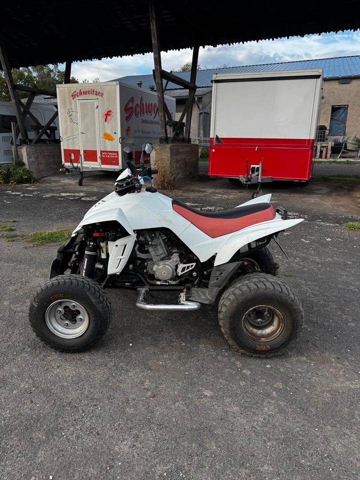 Weitere Motorräder Dinli 450 Quad 2010 — фото 7
