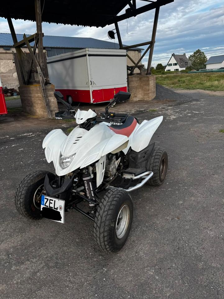Weitere Motorräder Dinli 450 Quad 2010 — фото 9