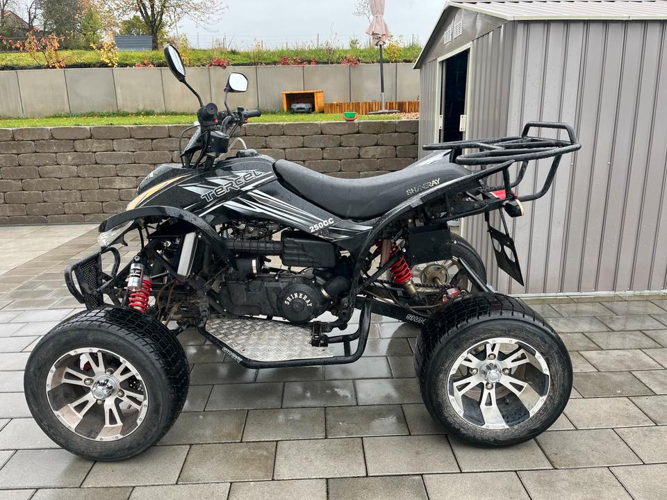 Weitere Motorräder Quad SHINERAY XY250ST-9C 2010 — вигляд ззаду