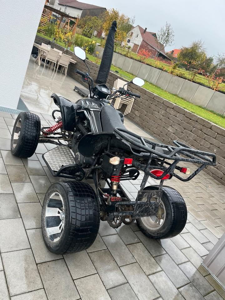Weitere Motorräder Quad SHINERAY XY250ST-9C 2010 — фото 6
